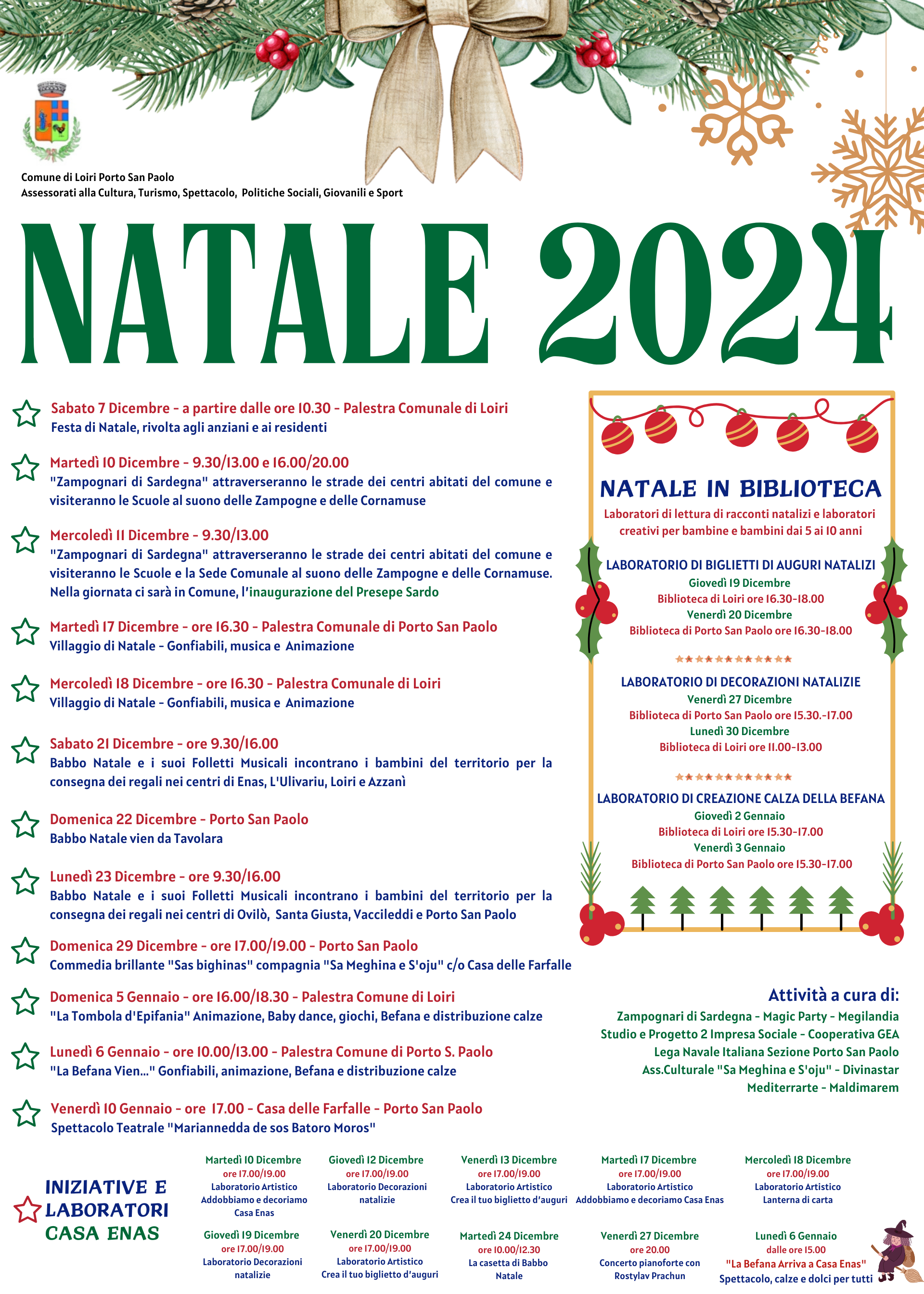 Locandina Natale Loiri PSP