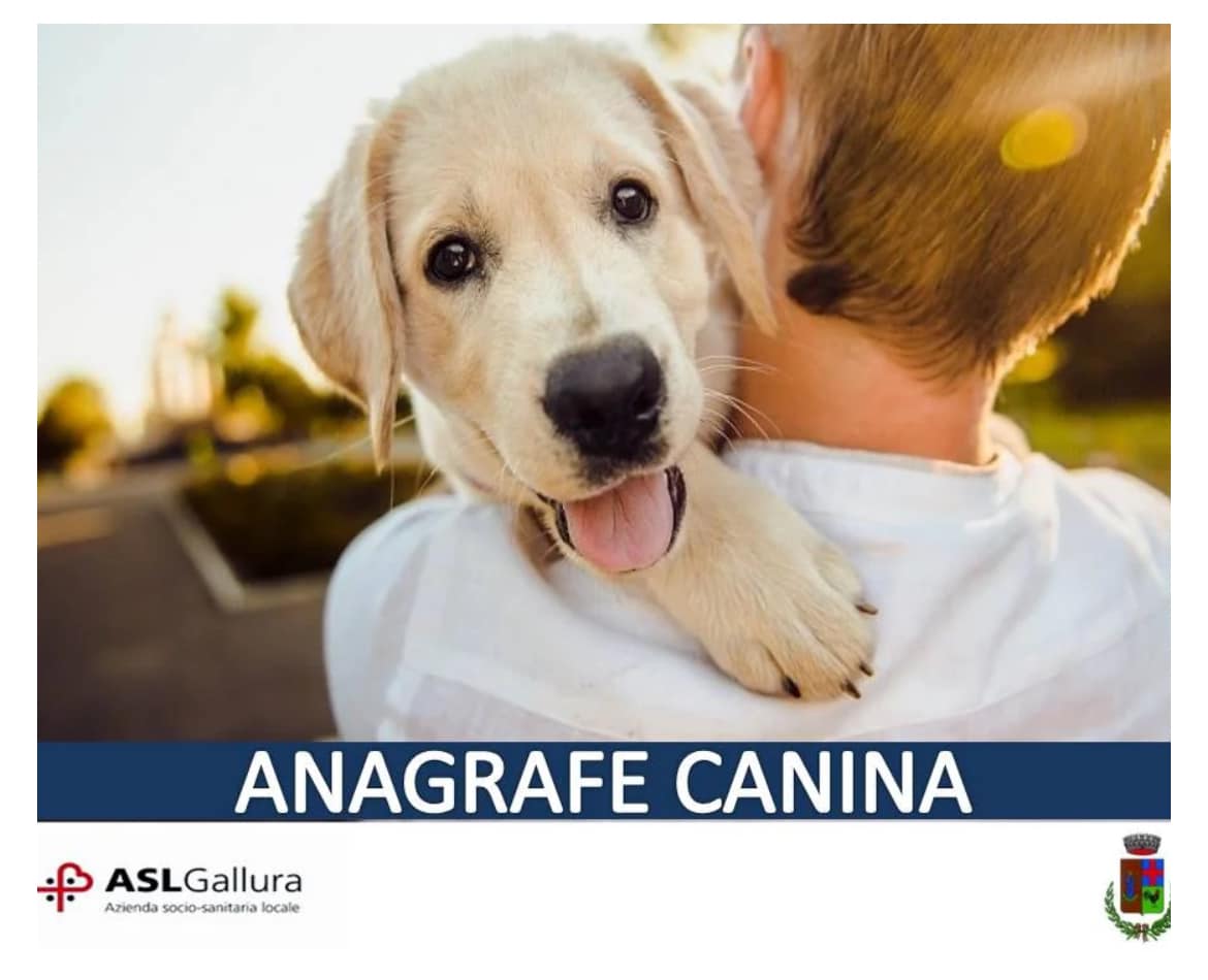 anagrafe canina